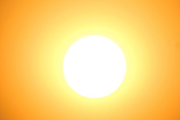 photo-1594315590298-329f49c8dcb9